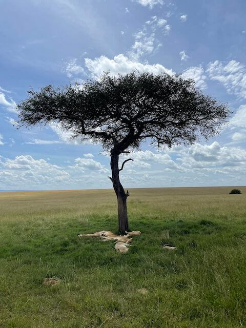 Kenya_view_02